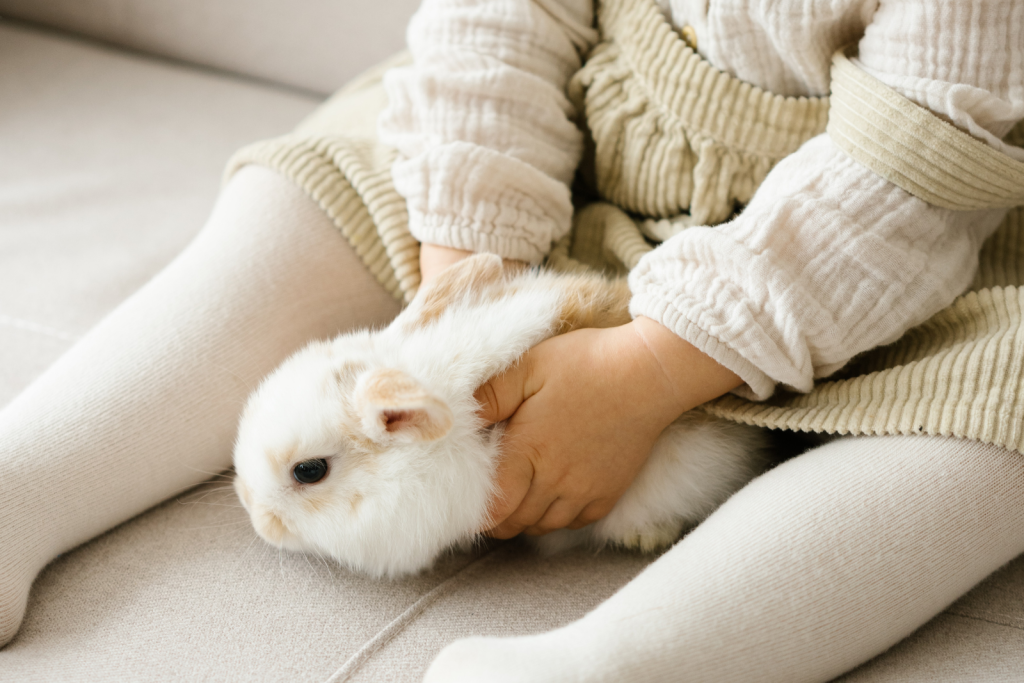Enfant en nutrition entérale avec son lapin